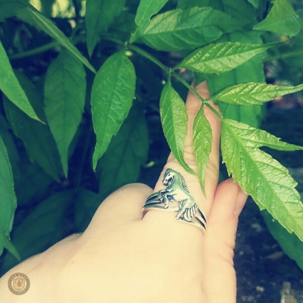 Bague avec motif de tête de cheval, style western distinctif
