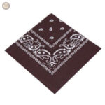 Bandana Cowboy Marron en style western