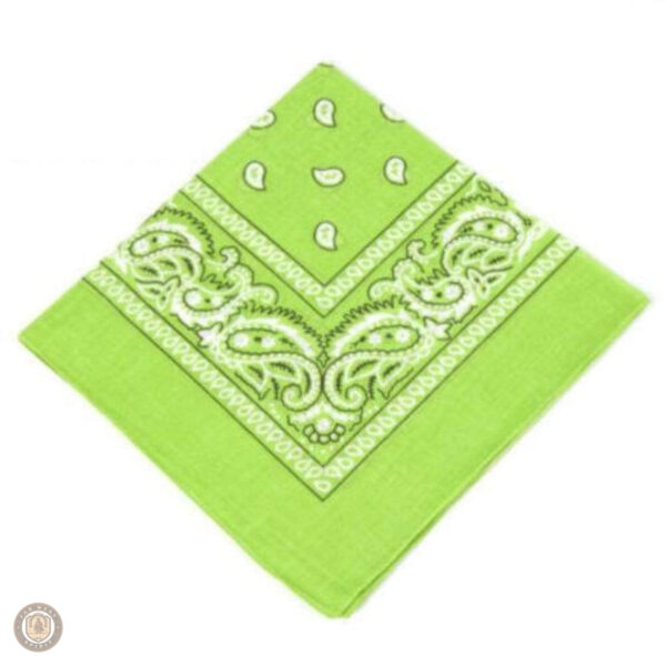 Bandana Cowboy Vert