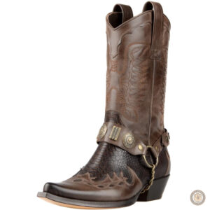 Bottes Cowboy Serpent pour homme en style western