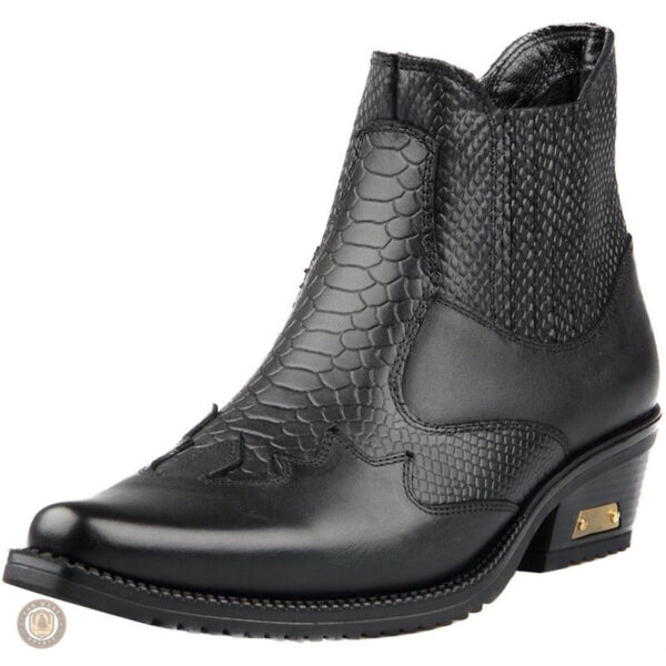 Bottines country à bout pointu pour homme