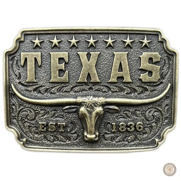 Boucle de ceinture en métal représentant l'État du Texas