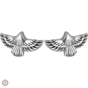 Boucles d'oreilles aigle en argent, style country