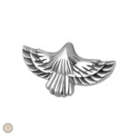 Boucles d'oreilles argentées avec motif aigle, design country