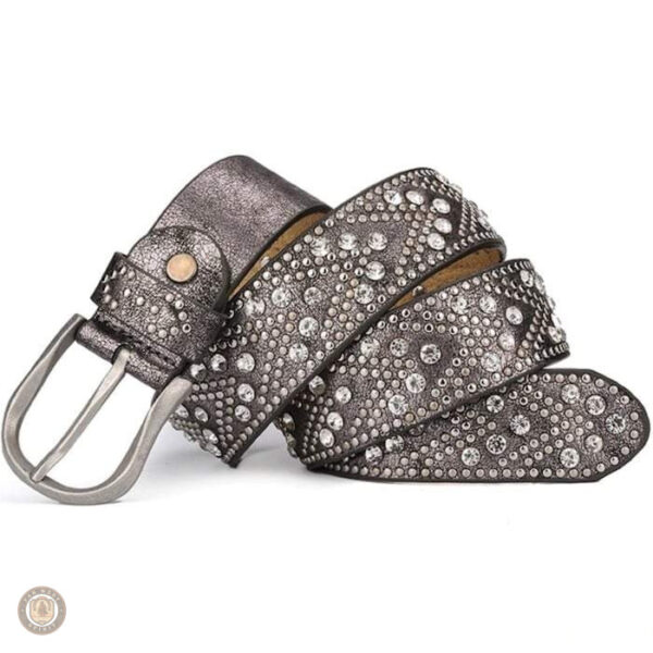 Accessoire d'équitation avec strass scintillants
