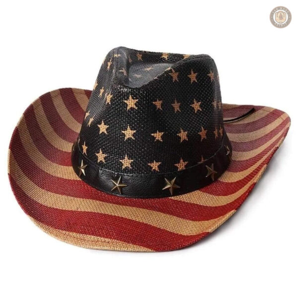 Chapeau cowboy USA en feutre noir