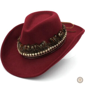 Chapeau country orné de plumes colorées