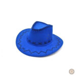 Chapeau de cowboy robuste, parfait pour l'extérieur