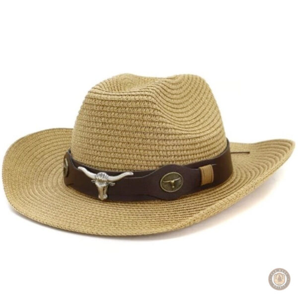 Chapeau de paille cowboy pour homme, style décontracté