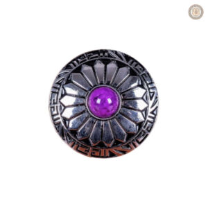 Variété de conchos colorés pour personnalisation créative