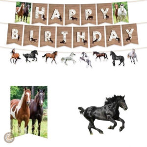 Accessoires western pour fête d'anniversaire