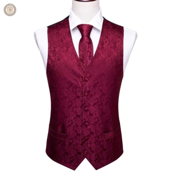 Gilet de style cowboy raffiné
