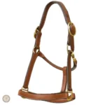 Licol Charly pour équitation Western, design fonctionnel