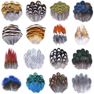 Plumes pour chapeau western décoratives