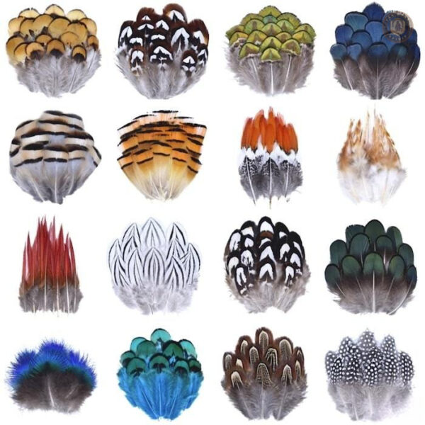 Plumes pour chapeau western décoratives