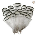 Plumes décoratives pour accessoires western