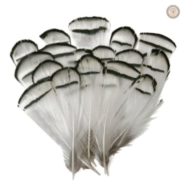Plumes décoratives pour accessoires western