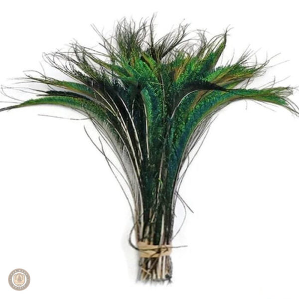Accessoire plume pour look western authentique