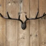 Décoration murale style western avec bois de cerf