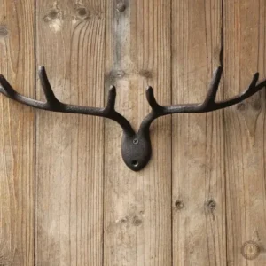 Décoration murale style western avec bois de cerf