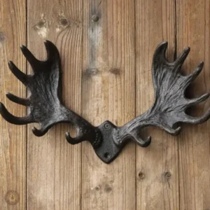 Accessoire mural en bois pour suspendre vêtements