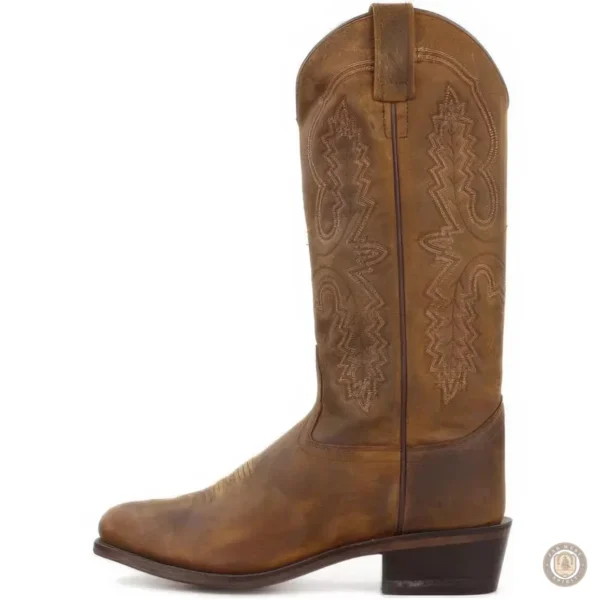 Santiags Bottes Western pour hommes